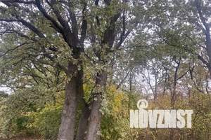 Дом 60м², 2-этажный, посуточно,