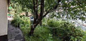 Дом 57м², 1-этажный, участок 5 сот.