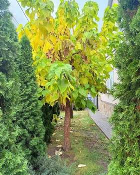 Дом 213м², 2-этажный, участок 8 сот.