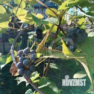 Дом 43м², 2-этажный, участок 6 сот.