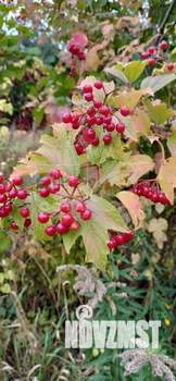 Дом 16м², 1-этажный, участок 8 сот.