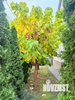 Дом 213м², 2-этажный, участок 8 сот.