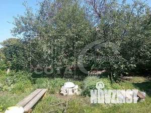 Дом 50м², 1-этажный, участок 6 сот.