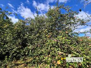 Дом 49м², 1-этажный, участок 10 сот.