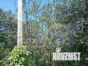 Дом 50м², 1-этажный, участок 6 сот.