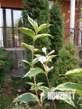 Коттедж 370м², 3-этажный, участок 9 сот.