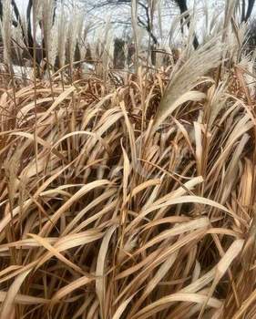 Дом 280м², 2-этажный, участок 3 сот.