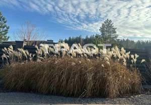 Дом 146м², 1-этажный, участок 10 сот.