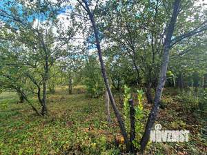 Дом 49м², 1-этажный, участок 10 сот.