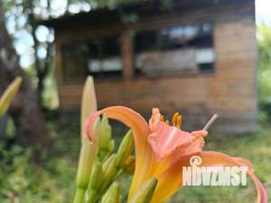 Дом 29м², 1-этажный, участок 4 сот.