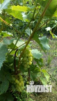 Дом 25м², 1-этажный, участок 6 сот.