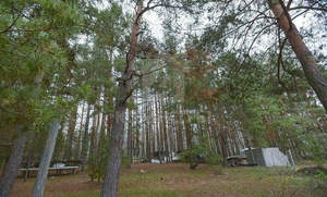 Дом 270м², 2-этажный, участок 8 сот.  