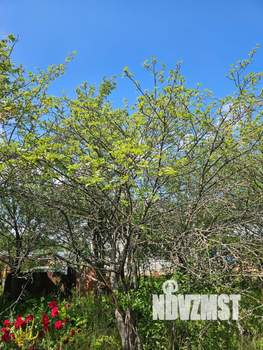 Дом 27м², 2-этажный, участок 6 сот.  