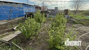 Дом 71м², 1-этажный, участок 15 сот.  