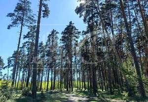 Дом 54м², 1-этажный, участок 4 сот.  