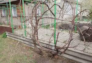 Дом 133м², 2-этажный, участок 7 сот.  