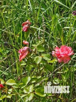 Дом 27м², 2-этажный, участок 6 сот.  