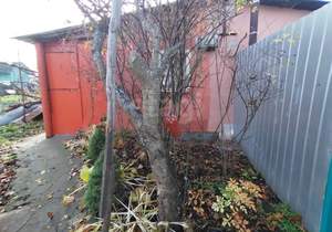 Дача 11м², 2-этажный, участок 5 сот.  