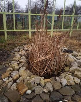 Дом 36м&sup2;, 1-этажный, участок 7 сот.  