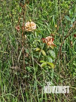 Дом 27м², 2-этажный, участок 6 сот.  