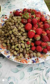 Дом 36м&sup2;, 1-этажный, участок 7 сот.  