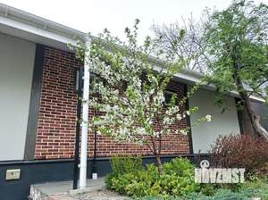 Дом 147м², 2-этажный, участок 5 сот.  