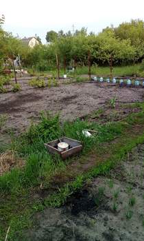 Дом 25м², 1-этажный, участок 6 сот.  