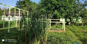 Дом 36м&sup2;, 1-этажный, участок 7 сот.  