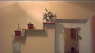 Фото комнаты на продажу (4)