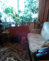 Фото комнаты на продажу (3)