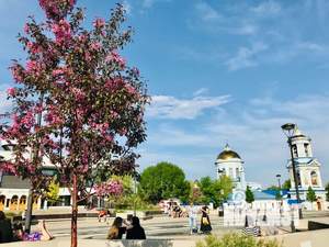 Студия квартира, посуточно, 31м2, 1/5 этаж