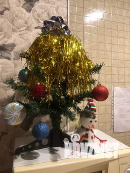 Студия квартира, посуточно, 23м2, 1/2 этаж