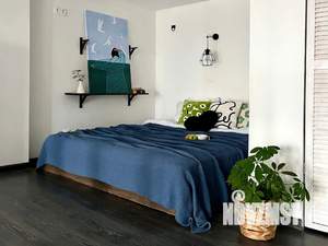 1-к квартира, посуточно, 47м2, 4/7 этаж