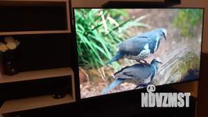 1-к квартира, посуточно, 47м2, 10/11 этаж