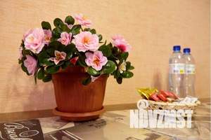 1-к квартира, посуточно, 35м2, 14/14 этаж