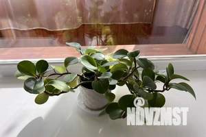 1-к квартира, посуточно, 37м2, 9/9 этаж