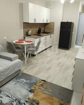 Студия квартира, на длительный срок, 23м2, 11/18 этаж