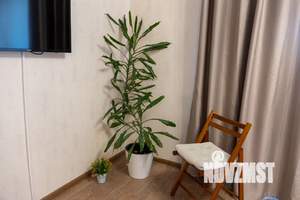 Студия квартира, посуточно, 35м2, 5/25 этаж