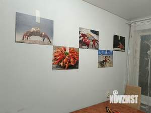 3-к квартира, на длительный срок, 66м2, 4/9 этаж