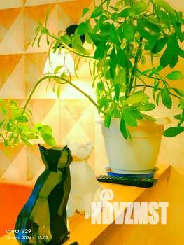 Студия квартира, посуточно, 27м2, 21/22 этаж