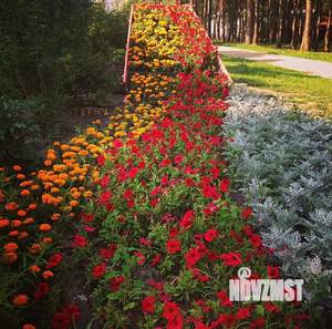 3-к квартира, на длительный срок, 70м2, 8/9 этаж