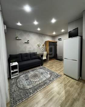 Студия квартира, на длительный срок, 20м2, 5/17 этаж