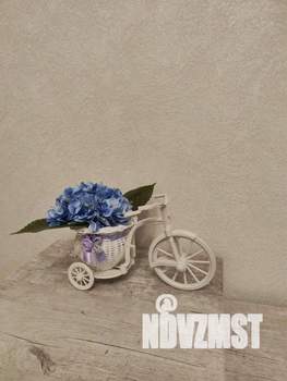 1-к квартира, посуточно, 56м2, 1/1 этаж