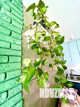 Студия квартира, посуточно, 27м2, 5/19 этаж