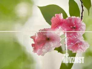 2-к квартира, посуточно, 50м2, 2/2 этаж