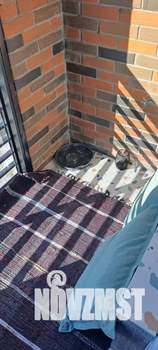 Студия квартира, посуточно, 15м2, 11/17 этаж