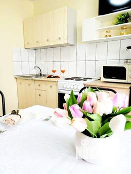 1-к квартира, посуточно, 45м2, 1/1 этаж