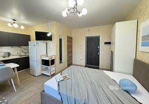 Студия квартира, на длительный срок, 24м2, 12/18 этаж