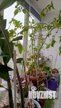 1-к квартира, на длительный срок, 40м2, 10/12 этаж