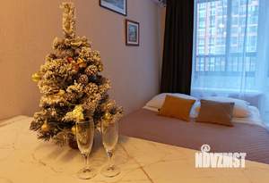 Студия квартира, посуточно, 21м2, 3/19 этаж